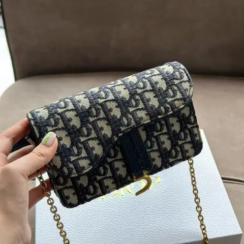 Dior Oblique Print Mini Bag with Chain Strap