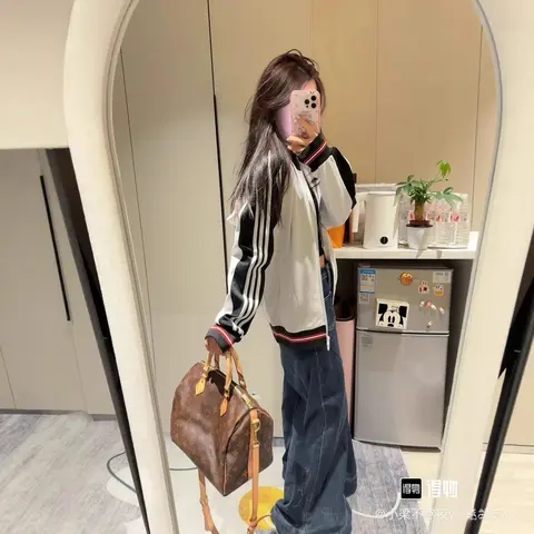 Louis Vuitton Speedy Bag