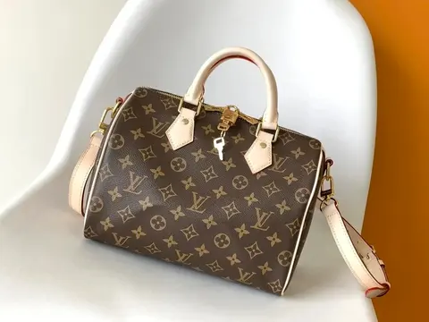 Louis Vuitton Speedy Bag