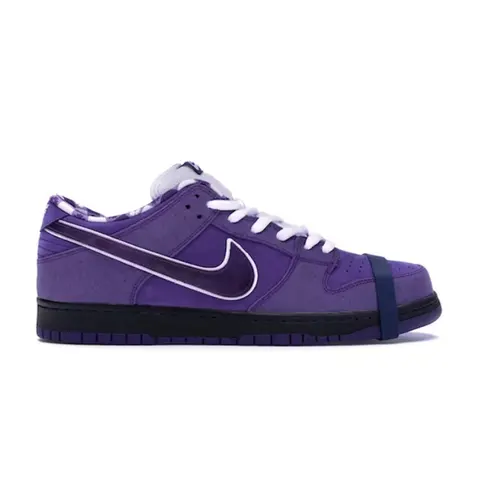Nike SB Dunk Low Purple