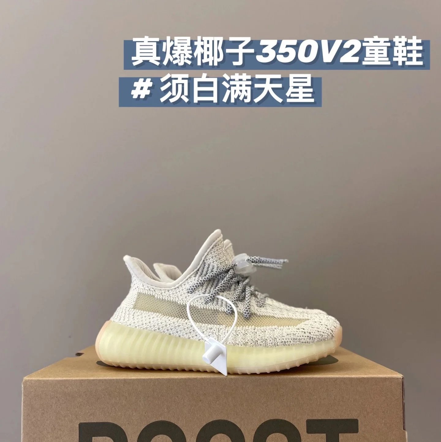须白满天星