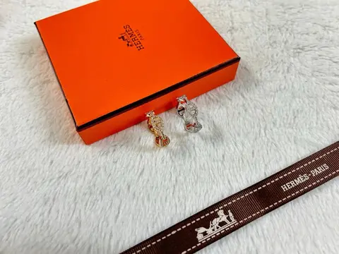 Hermès Earrings with Orange Box and Ribbon