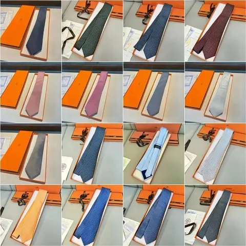 Hermès Silk Ties Collection