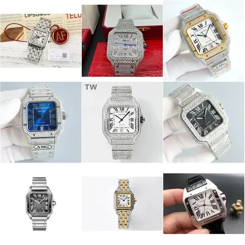 Cartier Santos Watch Collection