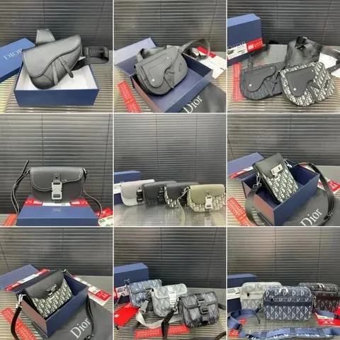 Dior Saddle Bag Collection