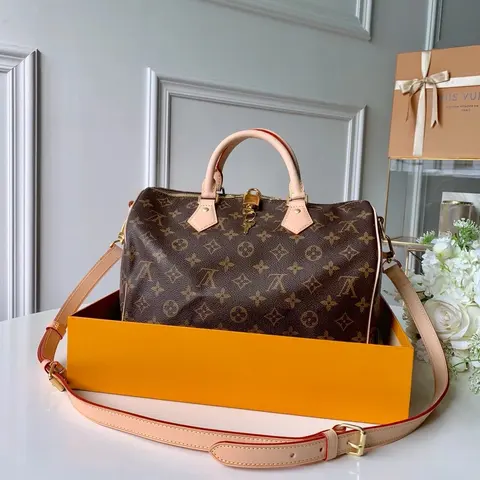 Louis Vuitton Monogram Speedy Bag