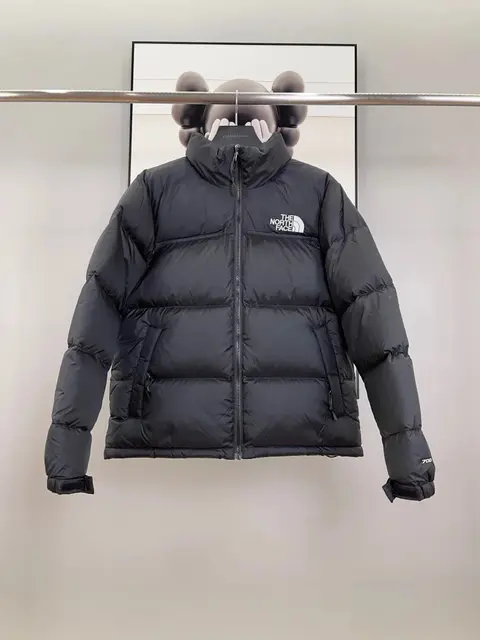 The North Face 700 Fill Power Down Jacket