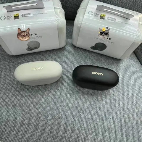 Sony WF-1000XM5 Wireless Earbuds - White and Black
