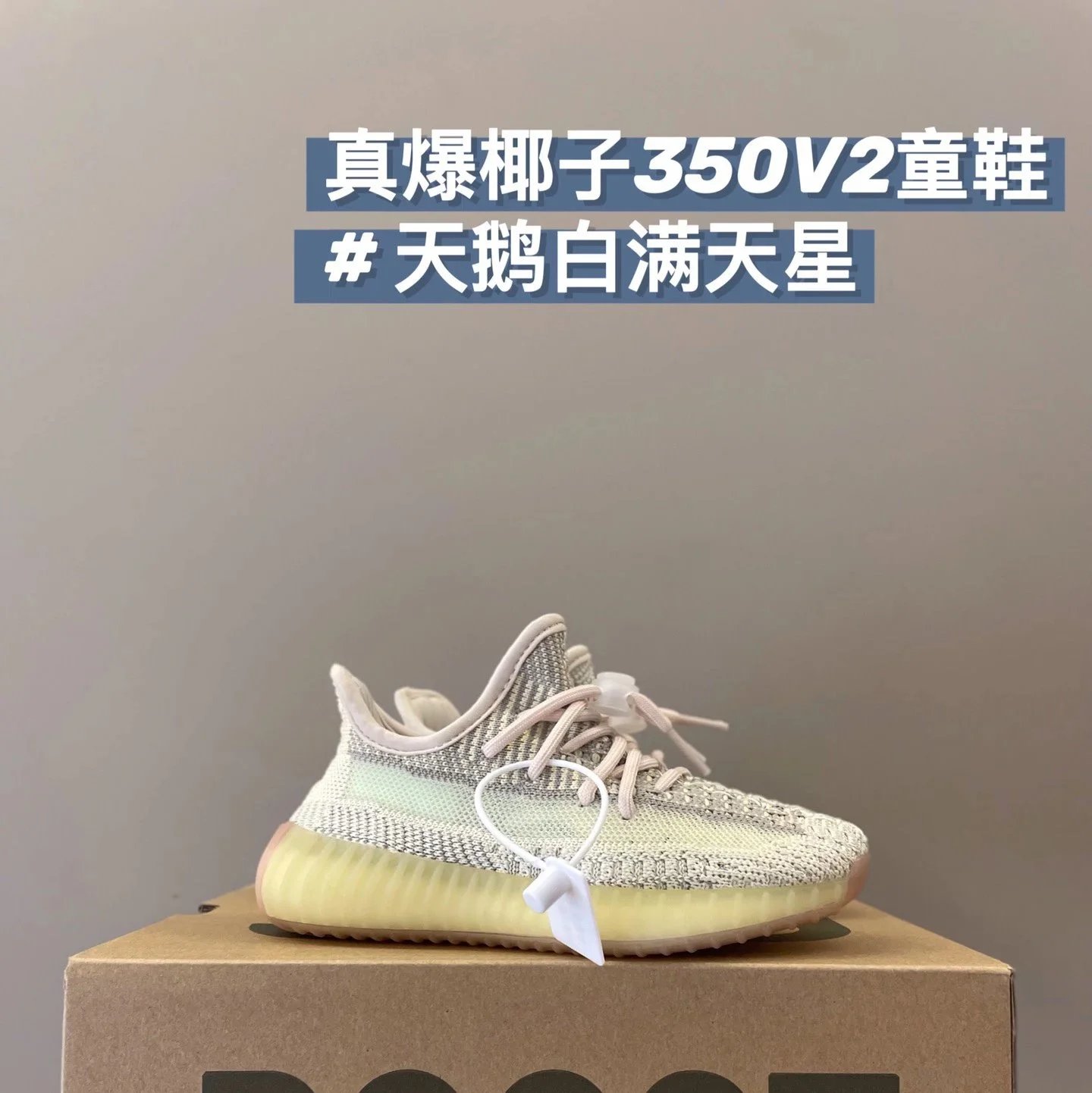 天鹅白满天星