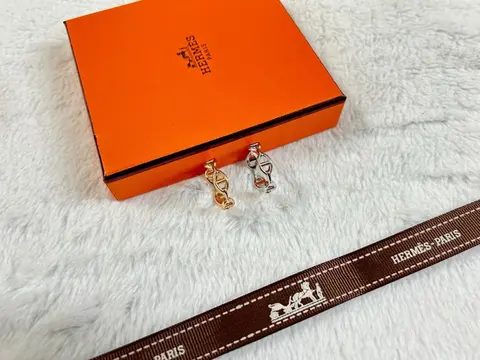 Hermès Paris Twisted Link Earrings