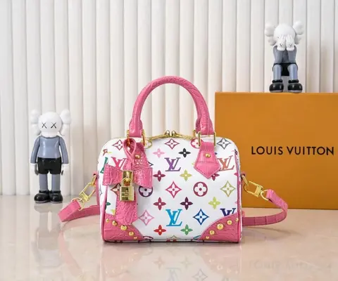 Louis Vuitton Multicolor Monogram Speedy Bag