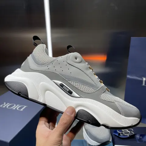 Dior B27 Sneaker Gray and White