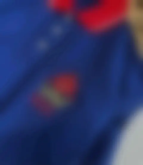 洋葱刺绣polo