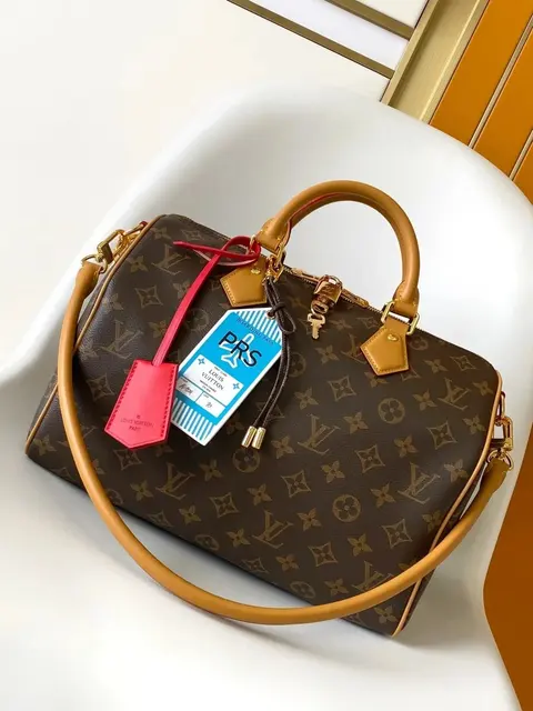 Louis Vuitton Monogram Speedy Bag