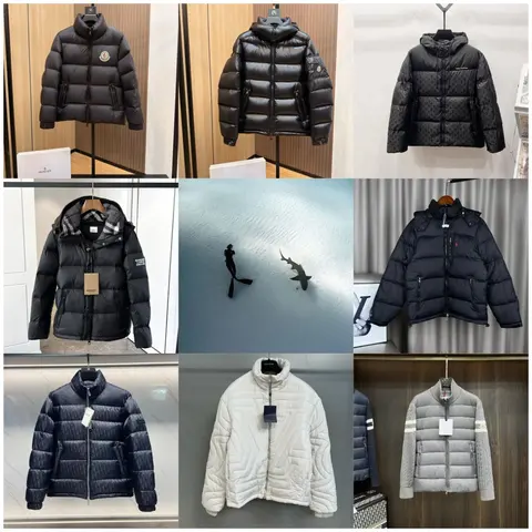 Moncler Down Jacket Collection