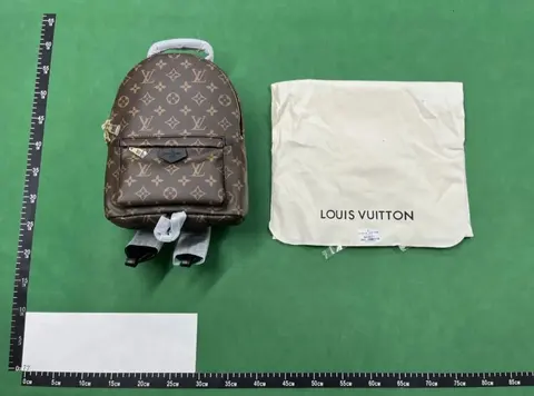 Louis Vuitton Monogram Backpack with Dust Bag