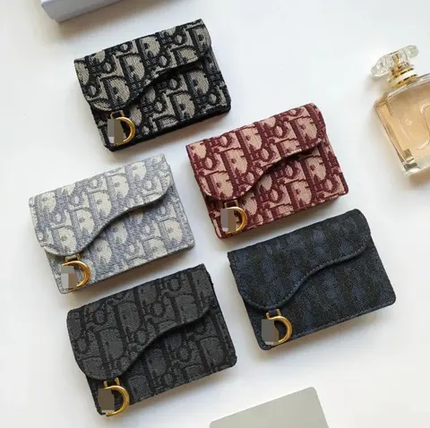 Dior Oblique Print Card Holders Collection