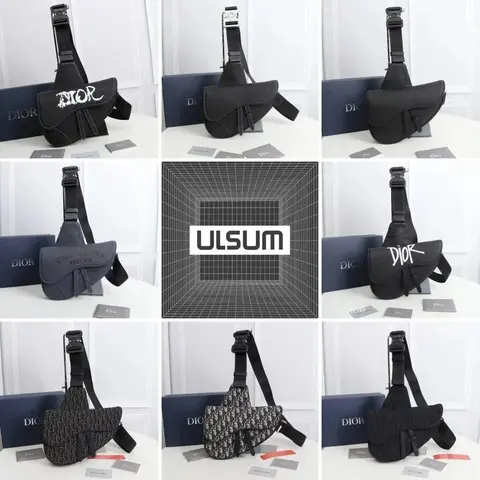 Dior Saddle Bag Collection