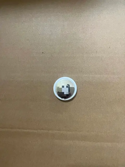Minecraft Steve Character Coin