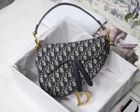 Dior Saddle Bag in Oblique Print