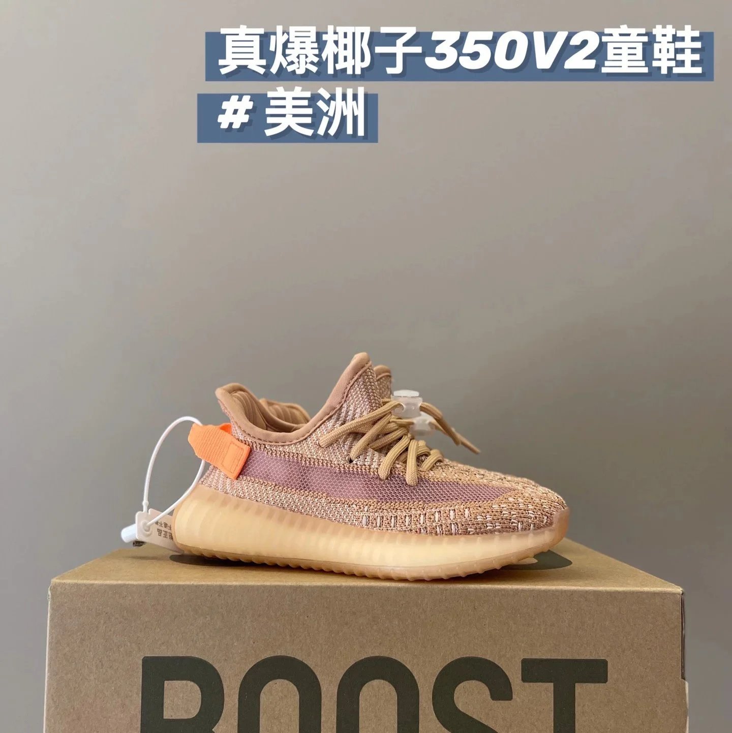 美洲
