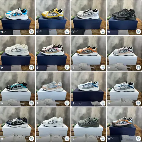 Dior x Dunk Sneaker Collection