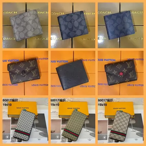 Luxury Brand Wallets Collection - Coach, Louis Vuitton, Gucci