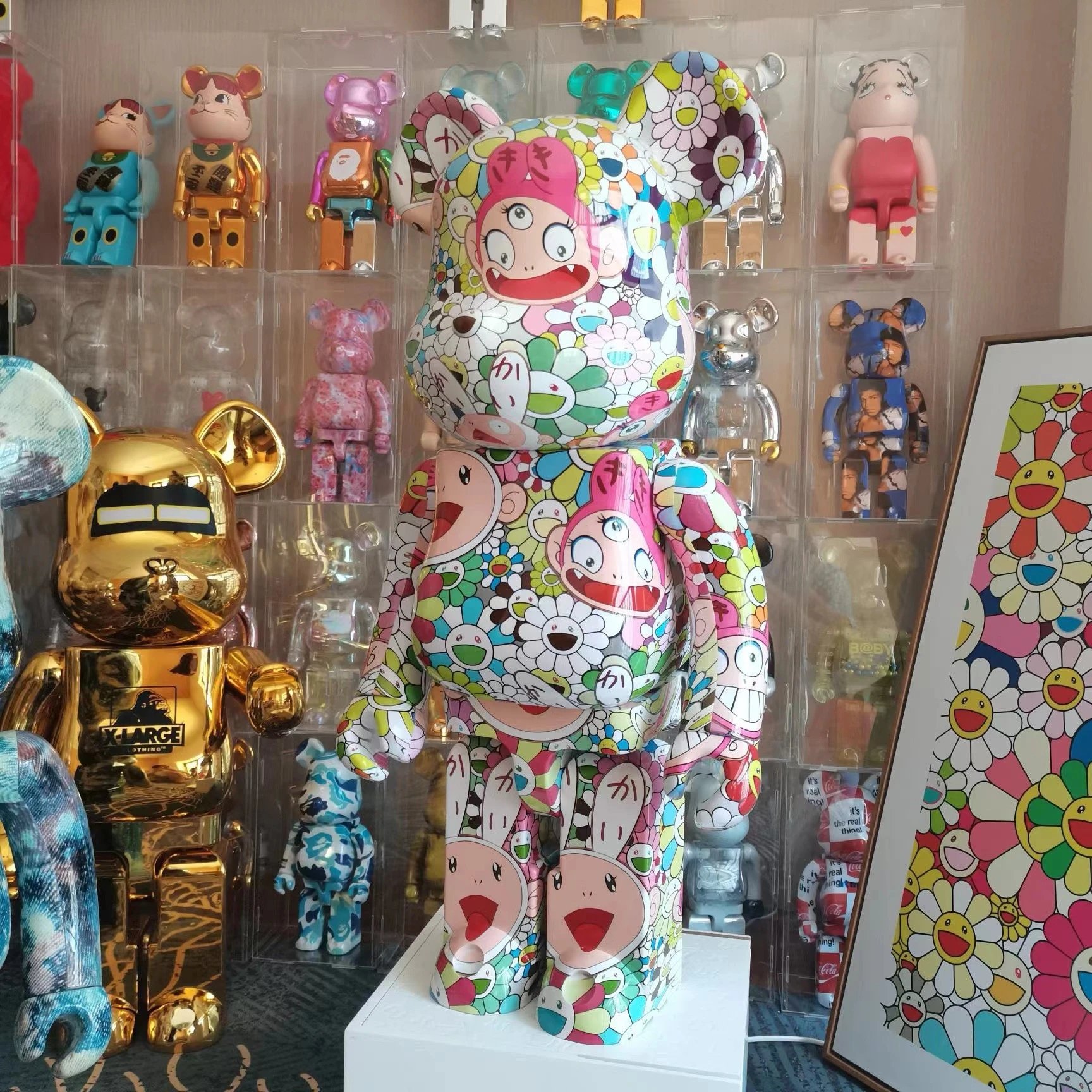 太阳花
