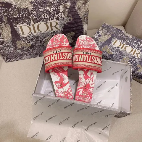 Christian Dior Paris Printed Slide Sandals