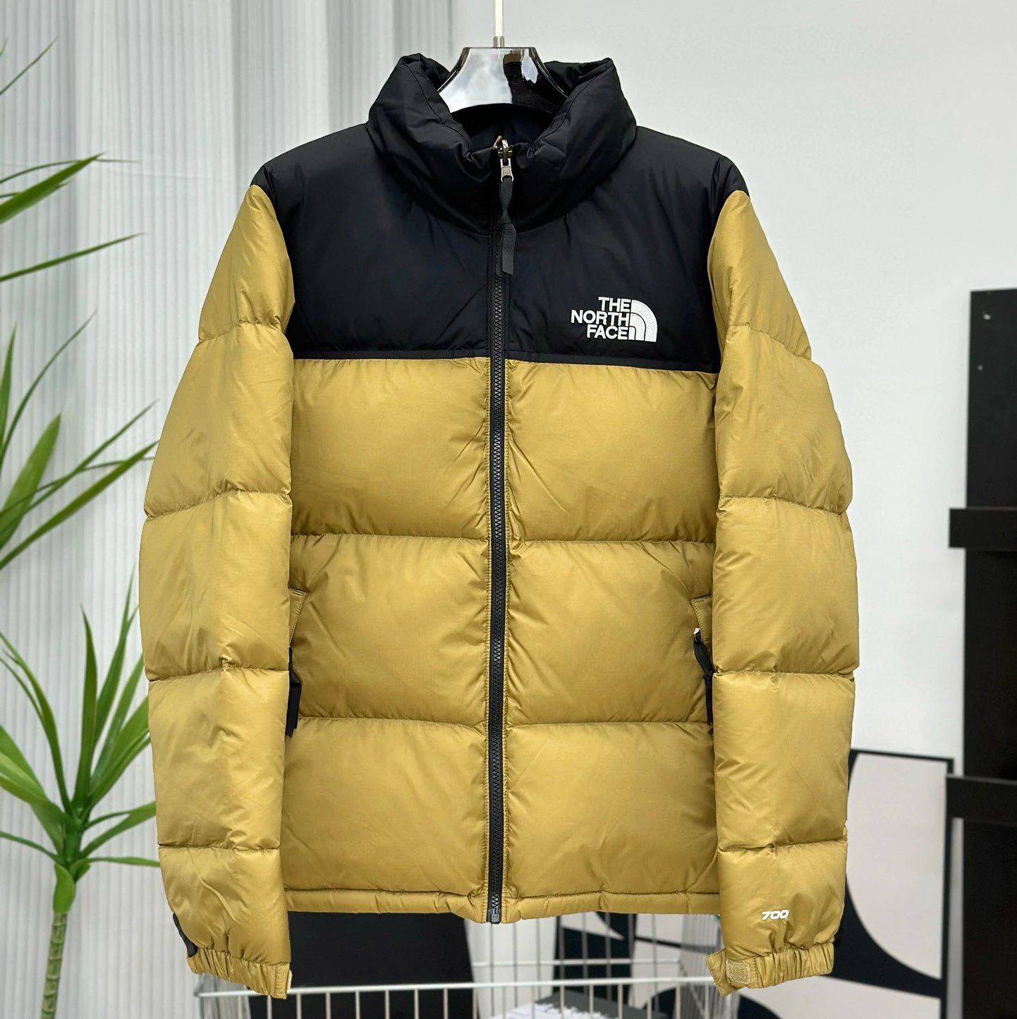 卡其khaki