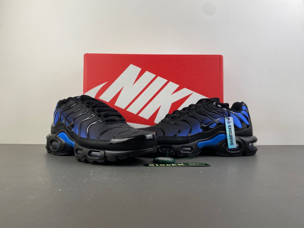 Nike Air Max Plus "Nightwing / Black Blue Crystal"