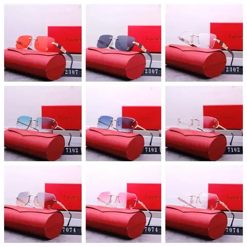 Cachet Sunglasses Collection - Models 2307, 7102, 7074