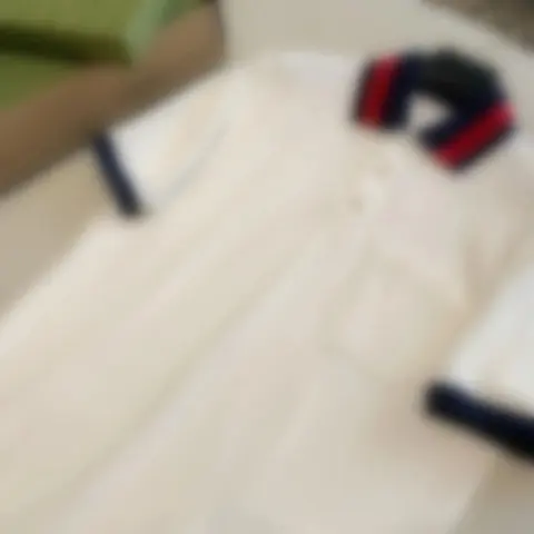 织带领Polo白