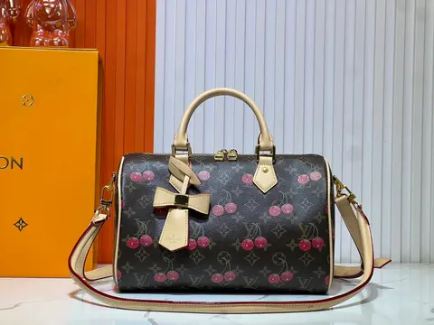 Louis Vuitton Cherry Monogram Speedy Bag