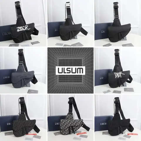 Dior Saddle Bag Collection