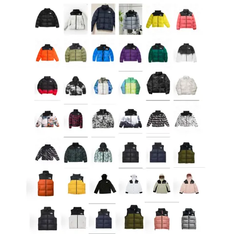 The North Face Nuptse Collection - Puffer Jackets and Vests