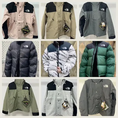 The North Face Gore-Tex and Puffer Jacket Collection