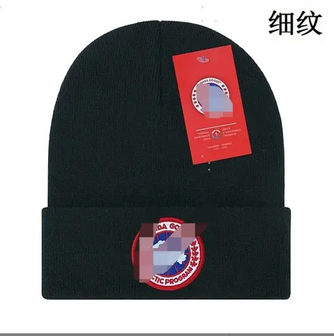 Canada Goose Arctic Program Beanie