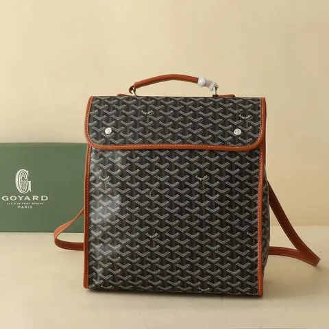 Goyard Saint Louis Backpack