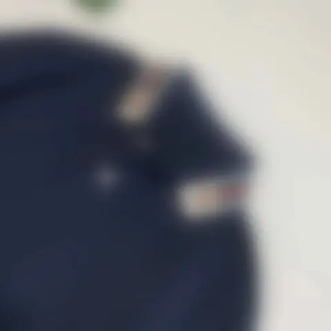 虎头织带POLO衫 深蓝色