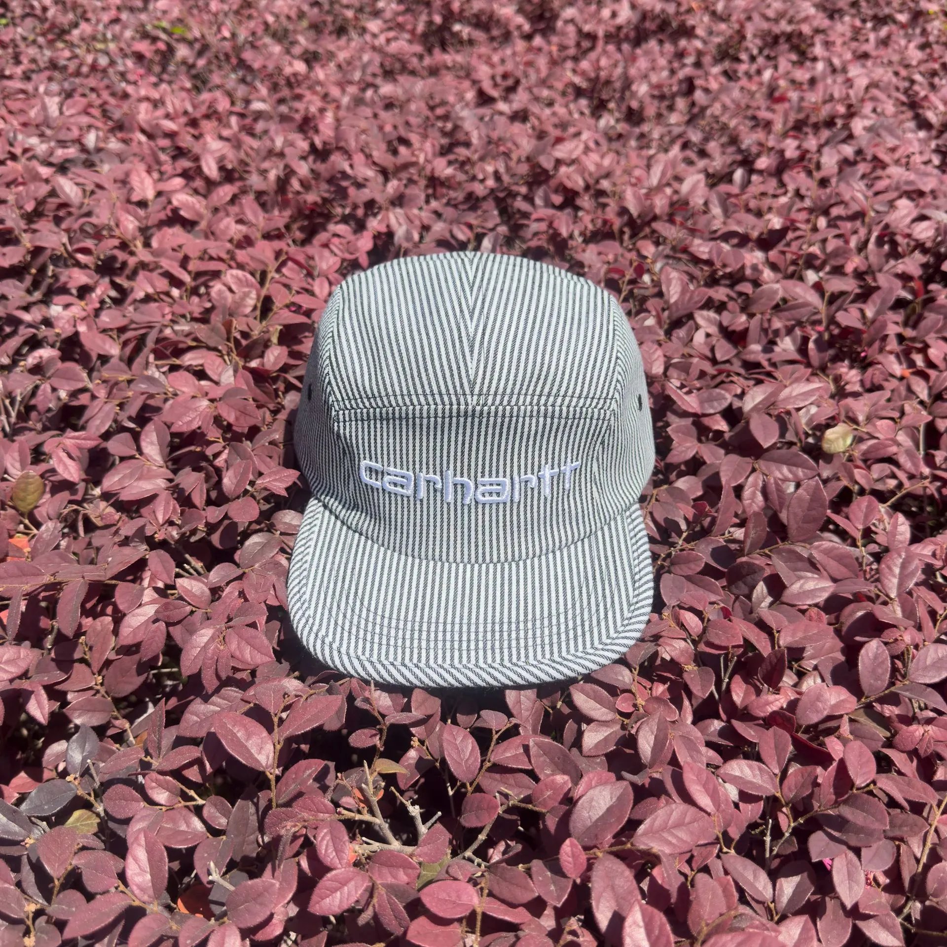 Carhartt--白色刺绣黑色