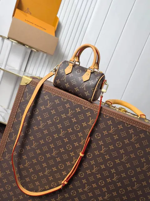 Louis Vuitton Monogram Mini Bag with Shoulder Strap