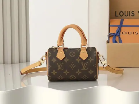 Louis Vuitton Monogram Mini Bag