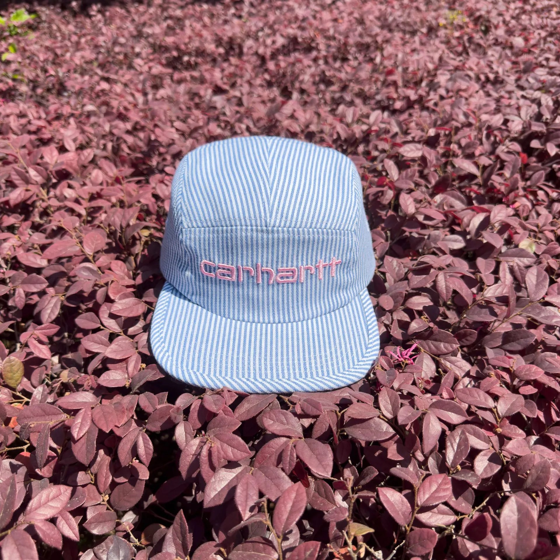 Carhartt--粉色刺绣蓝色