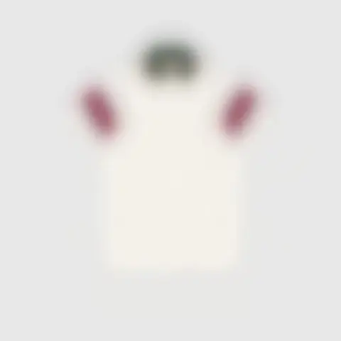 红蓝织带袖子Polo