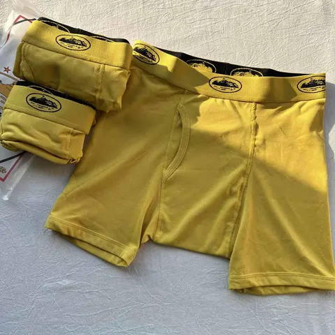 Boxer 3-Pack Logo Underwear in Cruise Yellow
