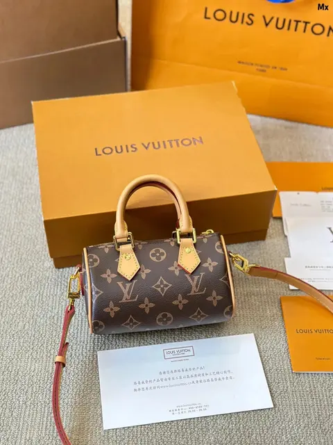 Louis Vuitton Mini Speedy Bag
