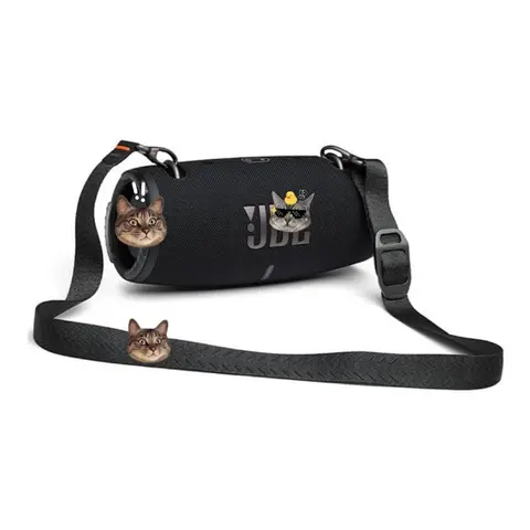 JBL Portable Bluetooth Speaker with Cat Design