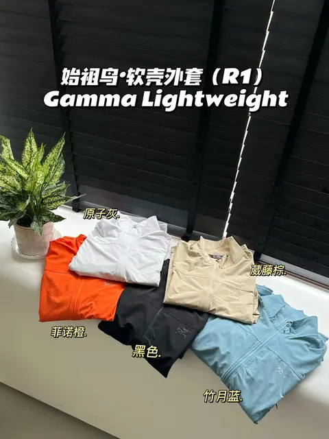 Arc'teryx Gamma Lightweight Jacket (R1)