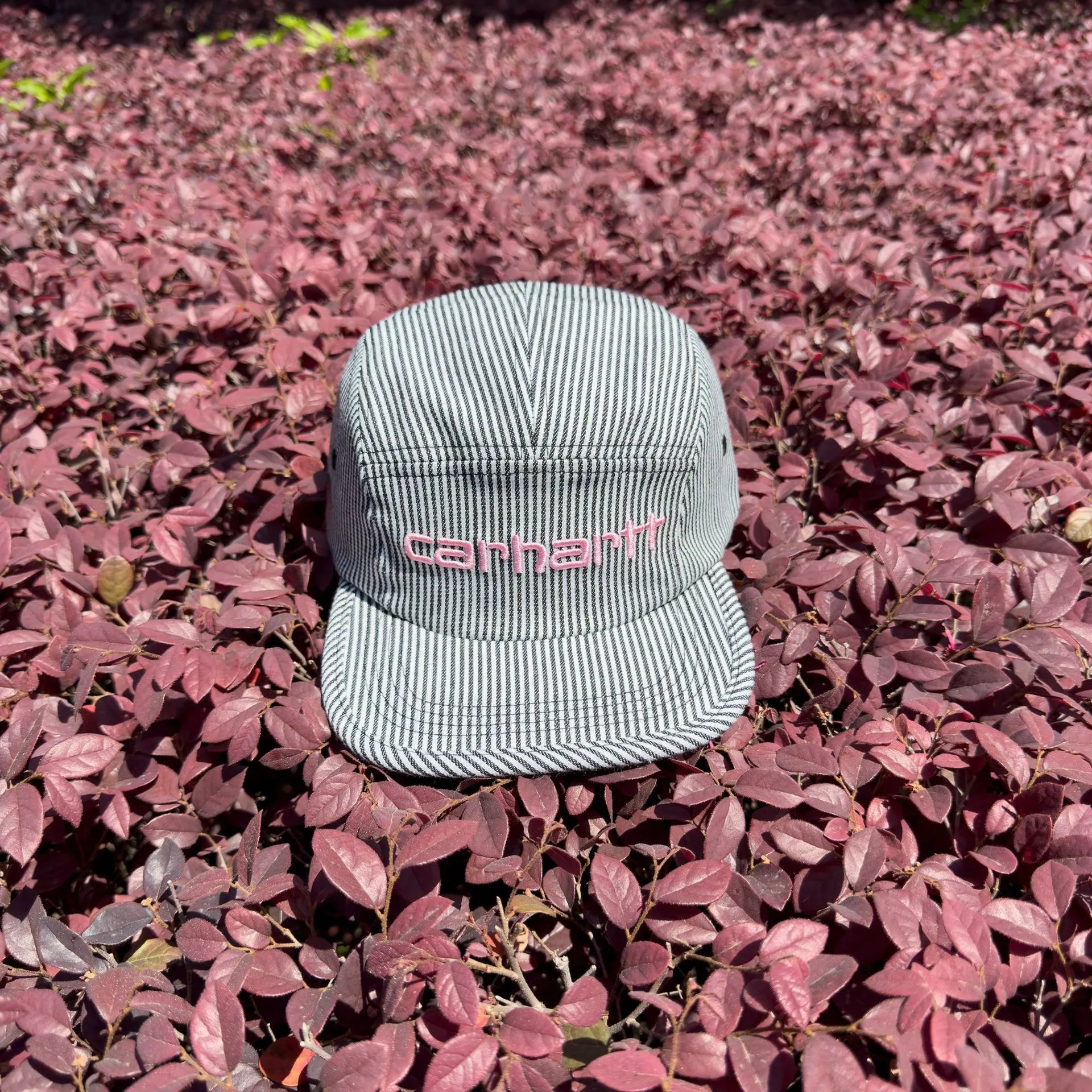 Carhartt--粉色刺绣黑色